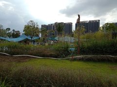 -江门古劳水乡旅游区