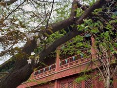 -大钟寺古钟博物馆