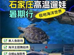 -石家庄极地海洋世界