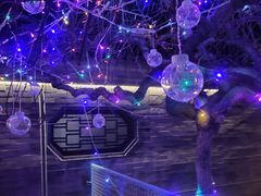 -有喜胶东小馆(超极合生汇太申祥和店)