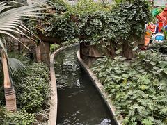 -南宫五洲植物乐园