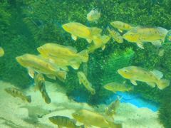 -泉城欧乐堡海洋极地世界