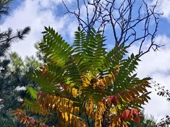 -野三坡百草畔景区