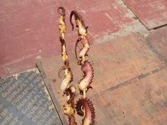 -钱江新城