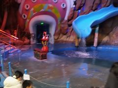 -烟台海昌鲸鲨海洋公园