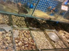 -大闫家烧烤·小海鲜家常菜(郑庄店)
