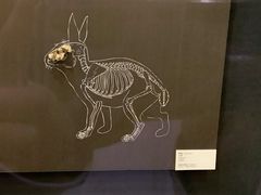 -北京周口店北京人遗址博物馆