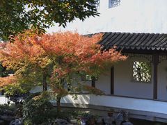 -秋霞圃