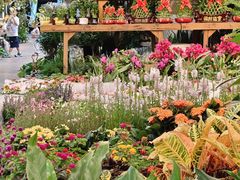-双季花艺园艺市场(浦东店)