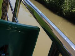 -大湾区中央湿地公园