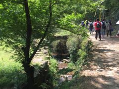 -会稽山峡洞漂流-上青古道