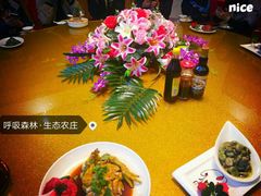 -呼吸森林·生态农庄农家乐私房菜