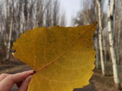 -东郊湿地公园
