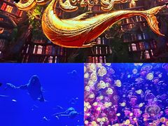 -海合安天津极地海洋公园