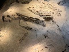 -侵华日军南京大屠杀遇难同胞纪念馆