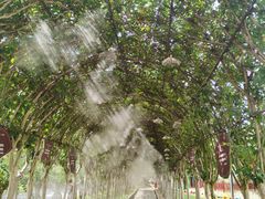 -武汉紫薇都市田园