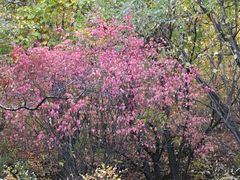 -帽儿山国家森林公园