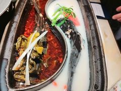 红白退鳅鱼-锦府盐帮·李宅(领展购物广场中关村店)