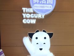 -一只酸奶牛(双流万达广场店)
