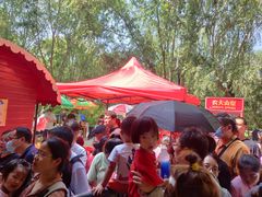 -泰安地下龙宫景区