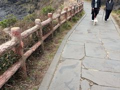 -涉地可支
