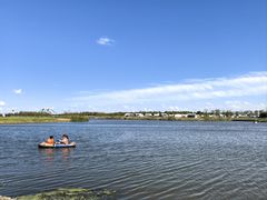 -春花秋色城市公园