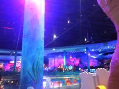 -青岛嘉年华主题乐园