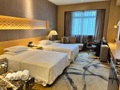 -西安赛瑞喜来登大酒店
