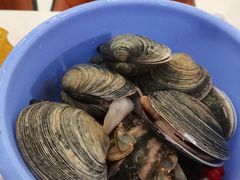 -春华海鲜城(广场西苑店)