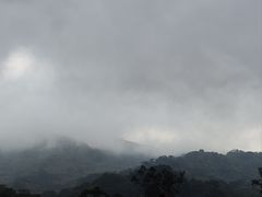 -海南热带雨林国家公园吊罗山景区