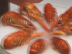 -红盔甲·小龙虾(天钥桥店)
