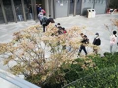 -新百广场(地铁站)