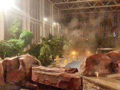 -中家鑫园温泉酒店鑫悦汤泉