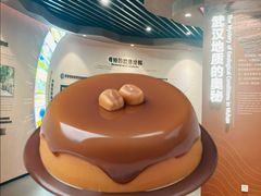 -武汉规划展示馆