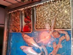 -长平老姿娘夜粥(平东一街店)