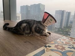 -佳雯宠物医院(四明中路分院)