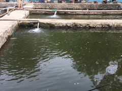 -双新垂钓园