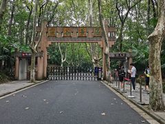 -灵谷景区