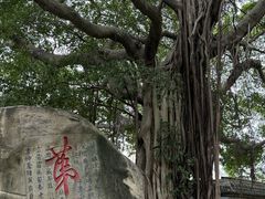 -乌山风景区