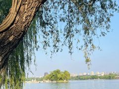 -济南大明湖景区