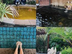 -福州贵安·温泉世界