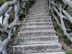 -梧桐山风景名胜区