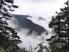-东天目山风景区