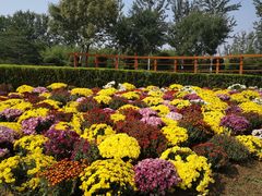 -燕郊植物园