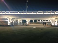 -演武大桥观景平台