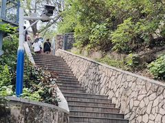 -佛山华盖山公园