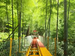 -藏龙百瀑风景区