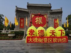 -大槐树寻根祭祖园