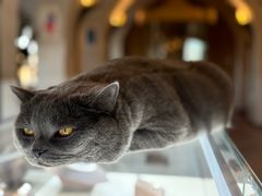 -Me Coffee下午茶艺术空间