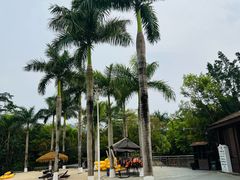 -水底山庄园温泉